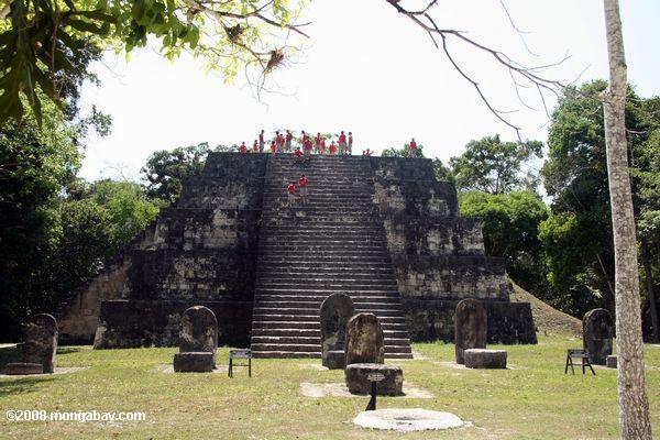 Complex Q at Tikal