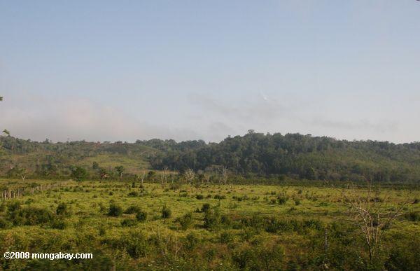 Deforested landscape in Guatemala