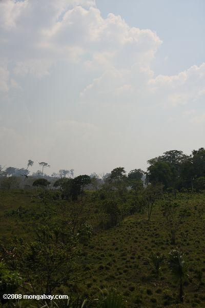 Burning savanna in Guatemala