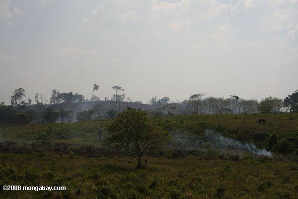 Burning the savanna in Guatemala