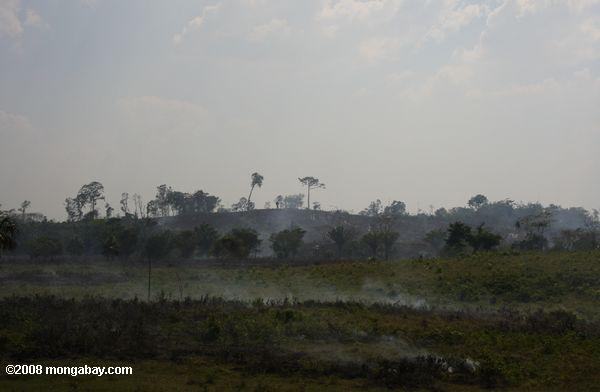 Burning the savanna in Guatemala