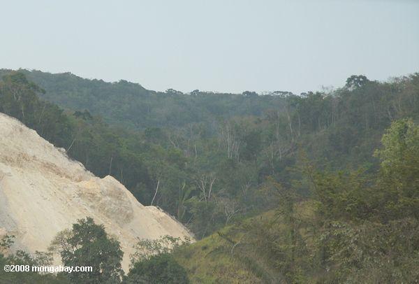 Forest land mined for limestone for road construction