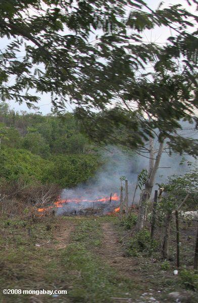 Burning agricultural land in Guatemala