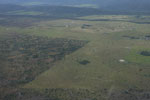 Cerrado grassland cleared for cattle pasture