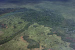 Conversion of transition forest in the Brazilian Amazon