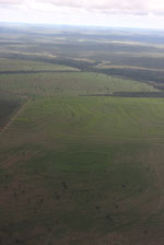 Recently cleared cerrado in Brazil