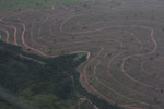 Recently cleared cerrado in Brazil