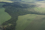 Legal forest reserve on a mechanized soy farm in the Brazilian Amazon