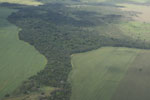 Legal forest reserve on a large-scale soy farm in the Brazilian Amazon
