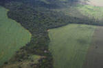 Legal forest reserve on a mechanized soy farm in the Brazilian Amazon [brasil_093]