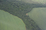 Legal forest reserve on a large-scale soy farm in the Brazilian Amazon