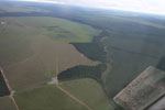 Clearing of Amazon forest for pasture or soy