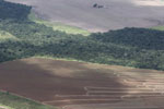 Aerial view of new cerrado/transition forest clearing