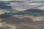 Aerial view of new cerrado/transition forest clearing