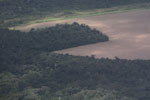 Forest clearing for soy in the southern Amazon of Mato Grosso state, Brazil