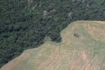 Overhead view of land cleared in the Amazon for agriculture