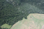 Overhead view of land cleared in the Amazon for agriculture