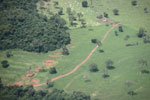 Cattle ranching in the Brazilian Amazon