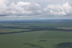 Soy and forest fragments: the new landscape of the southern Amazon