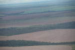 Newly tilled land and forest in the Amazon