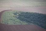 Newly tilled land and forest in the Amazon