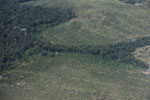 Riparian forest and cleared cerrado