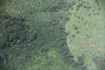 Forest degraded by fire in the Brazilian Amazon