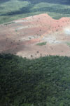 Cleared forest in the Brazilian Amazon