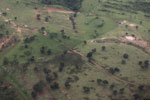 Pasture and degraded forest