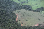 Clearing for ccattle pasture in the Xingu watershed