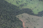Clearing for ccattle pasture in the Xingu watershed