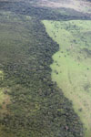 Forest degradation in the Amazon