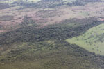 Forest degradation in the Amazon