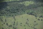 Cattle pasture and degraded forest
