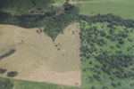 Cattle pasture and degraded forest