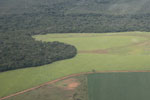 Amazon rainforest and cattle pasture