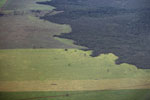 Amazon rainforest and cattle pasture [brazil_0520]