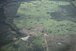 Amazon rainforest and cattle pasture