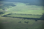 Newly cleared section of Amazon forest