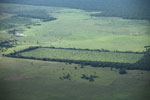 Newly cleared section of Amazon forest