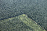 Pasture and legal forest reserve near the Arc of Deforestation in the Brazilian Amazon