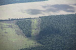 Cattle pasture and Amazon forest