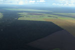 Patchwork of legal forest reserves, pasture, and soy farms in the Brazilian Amazon