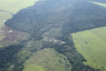 Patchwork of legal forest reserves, pasture, and soy farms in the Brazilian Amazon