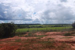 Deforested plain in the Amazon, now used for cattle