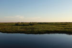 Pantanal in the late afternoon