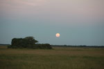 Moonrise over the Pantanal