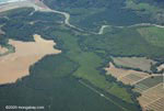 Aerial view of oil palm plantations near Quepos
