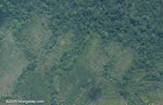 Aerial view of new oil palm plantations