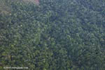 Aerial view of rainforest in southwestern Costa Rica
